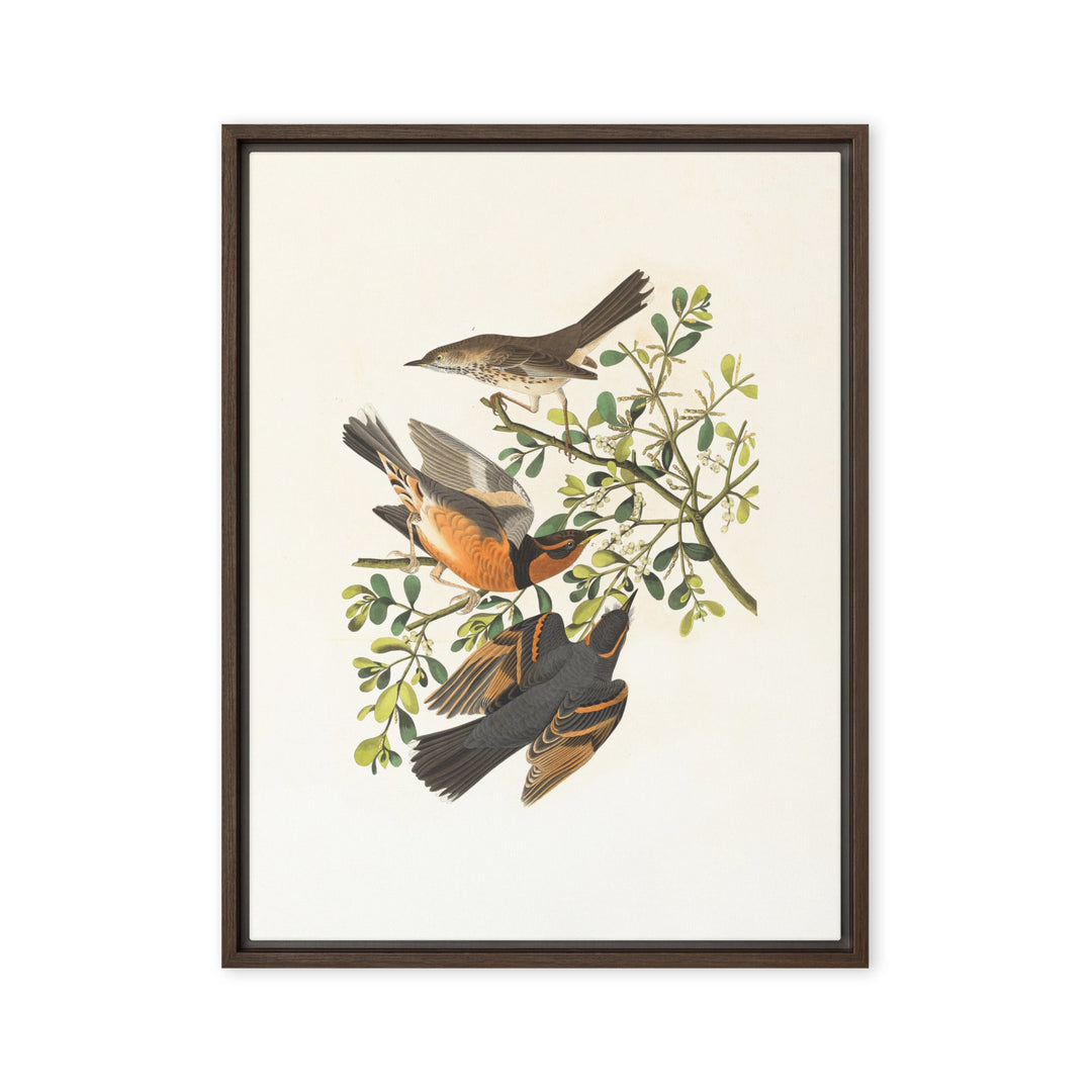 Leinwand - Drei Vögel auf Ästen Braun / 46x61 cm (18″×24″) artlia