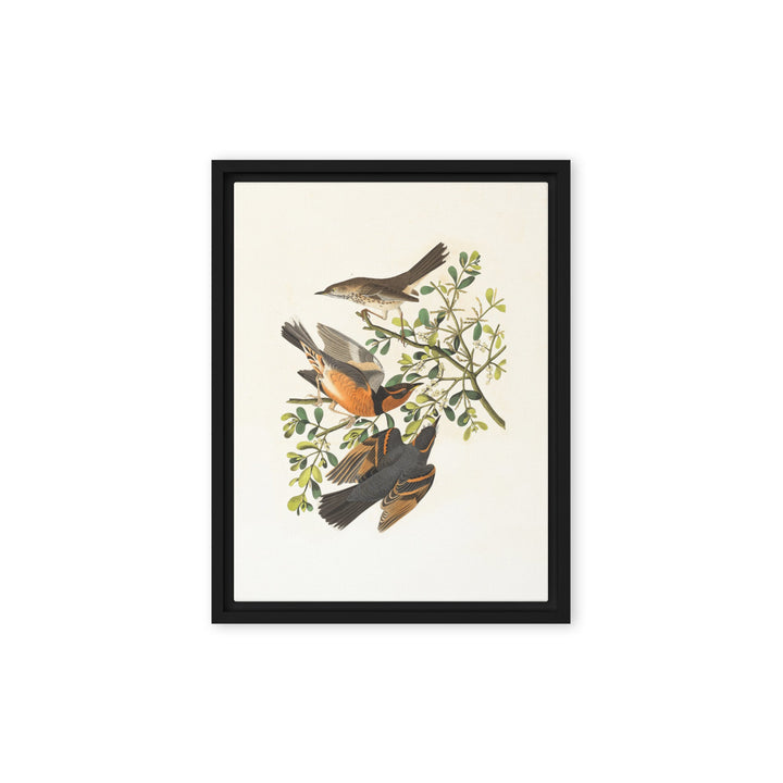 Leinwand - Drei Vögel auf Ästen Schwarz / 31x41 cm (12″×16″) artlia