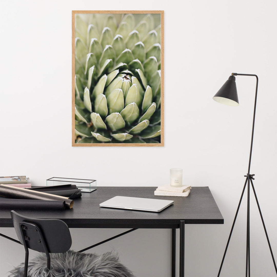 Poster - Cactus Flower II artlia