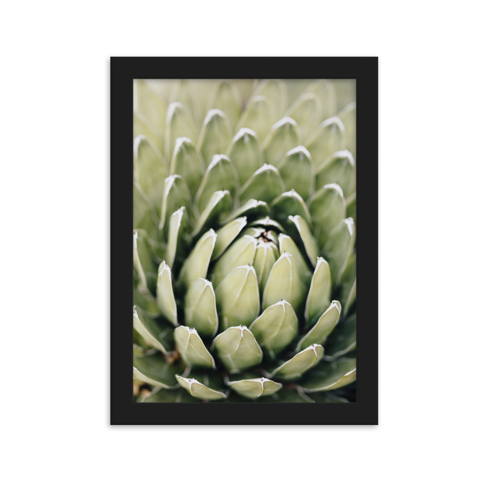 Poster - Cactus Flower II Schwarz / 21×30 cm artlia