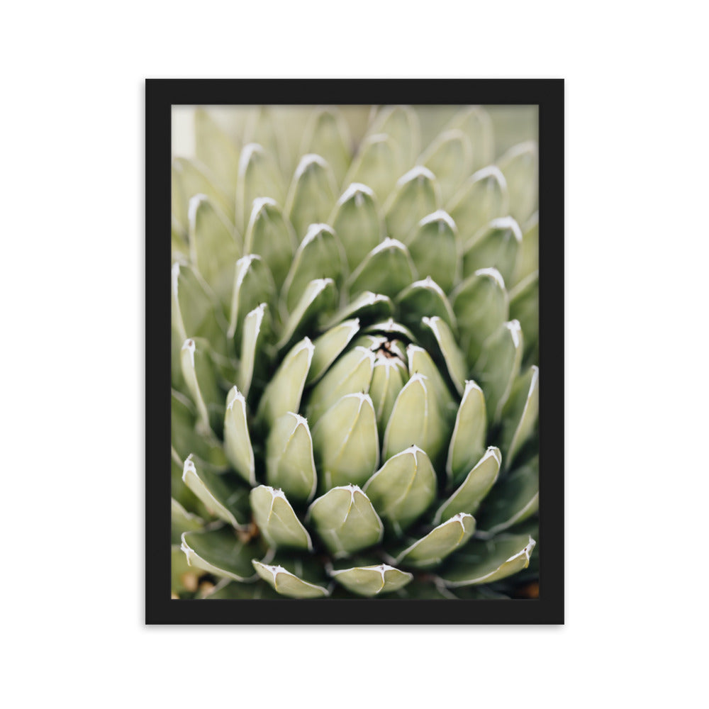 Poster - Cactus Flower II Schwarz / 30×40 cm artlia
