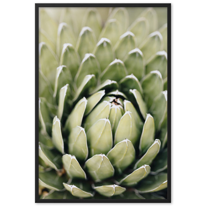 Poster - Cactus Flower II Schwarz / 61×91 cm artlia