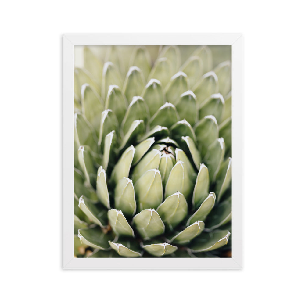 Poster - Cactus Flower II Weiß / 30×40 cm artlia