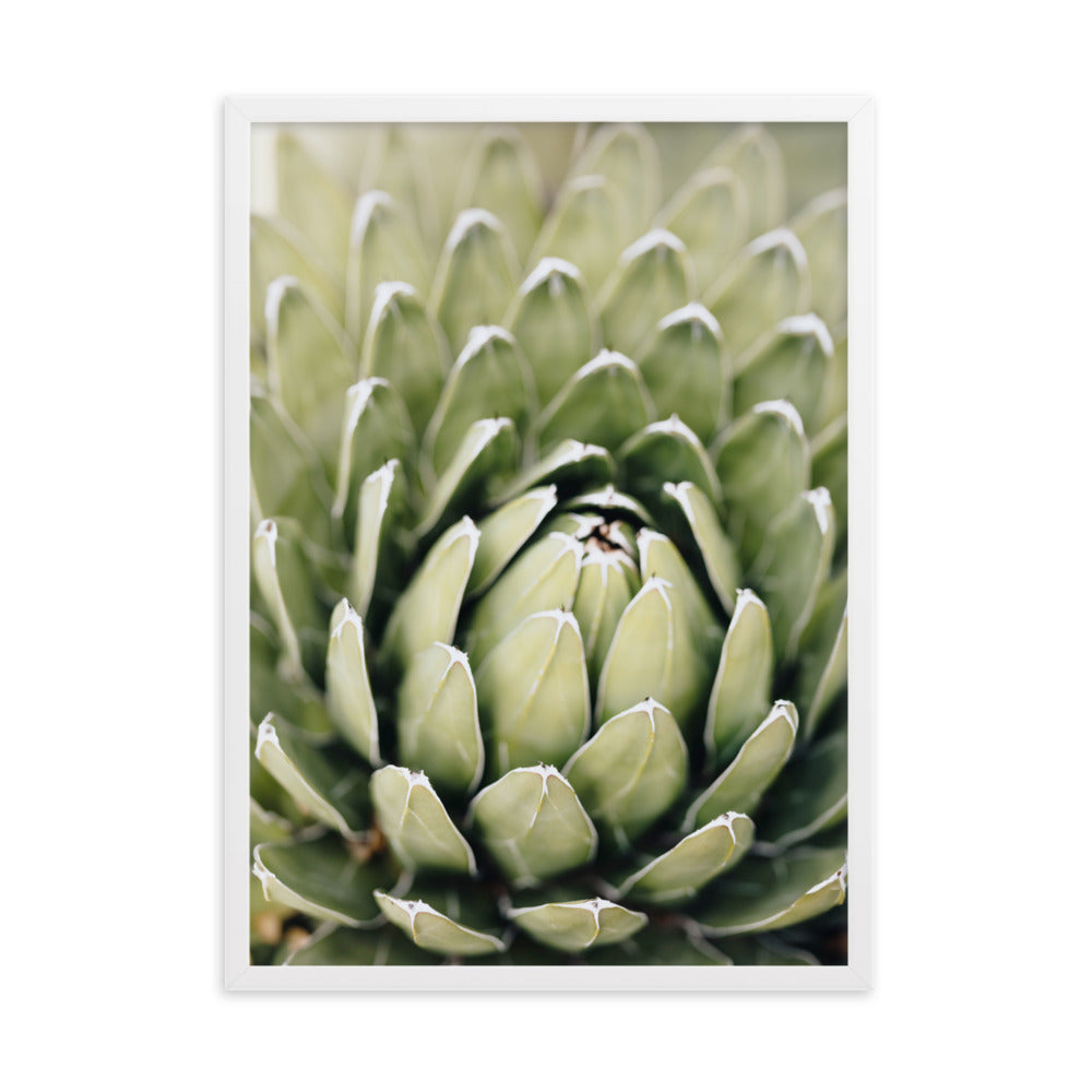 Poster - Cactus Flower II Weiß / 50×70 cm artlia