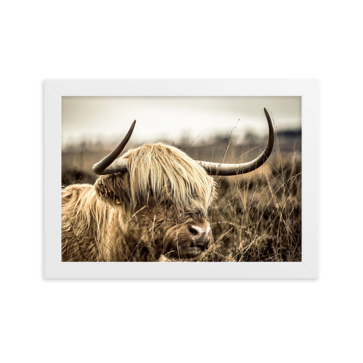 Poster - Highland Cattle Retro Weiß / 21×30 cm artlia