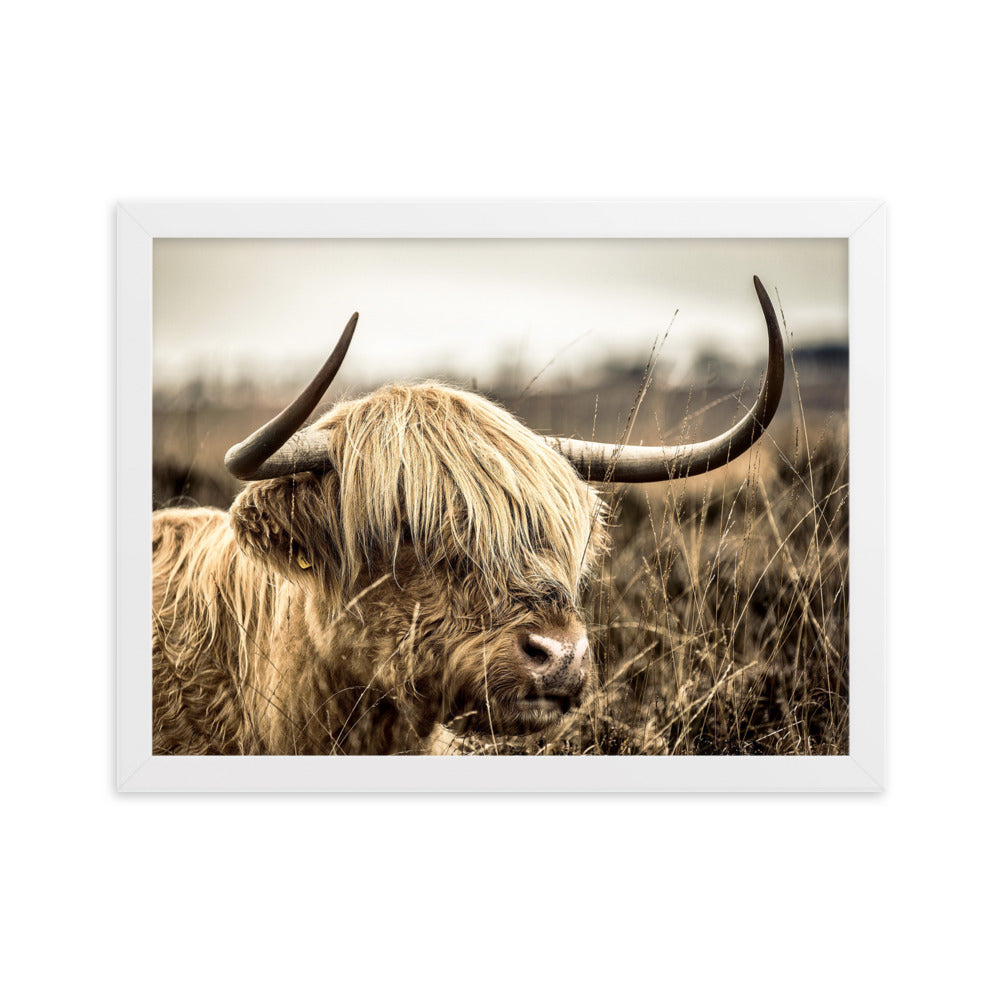 Poster - Highland Cattle Retro Weiß / 30×40 cm artlia