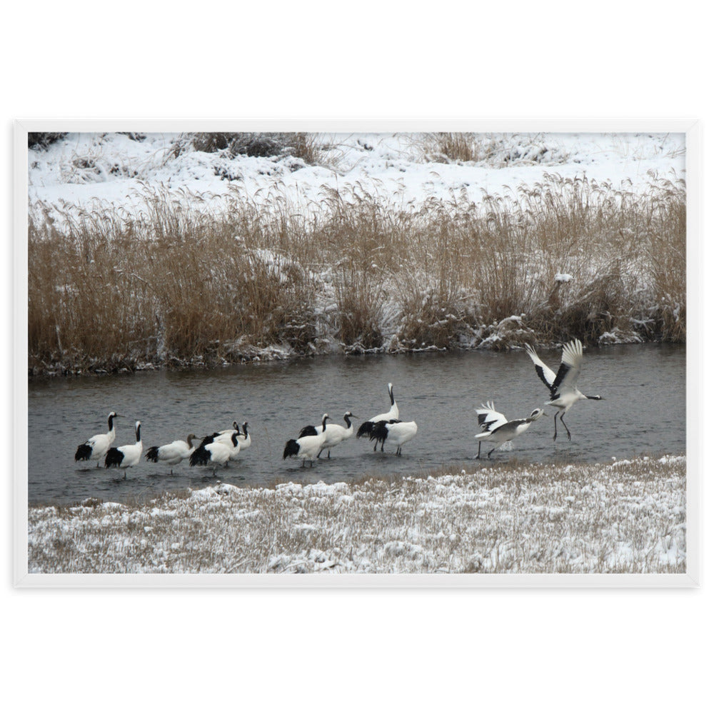 Poster - Kraniche in Hantangang artlia