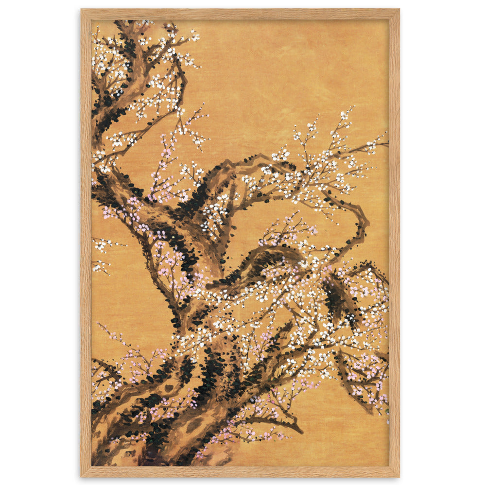Poster - Rote und weiße Pflaumenblüten Oak / Teil 2 / 61×91 cm artlia