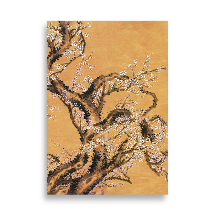 Poster - Rote und weiße Pflaumenblüten ohne Rahmen / Teil 2 / 21×30 cm artlia