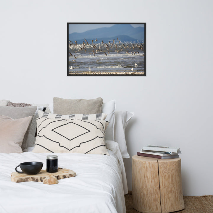 Poster - Shorebirds artlia