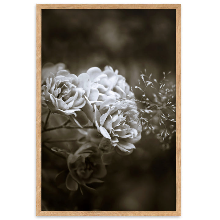 Poster - Weiße Pfingstrosen Oak / 61×91 cm artlia