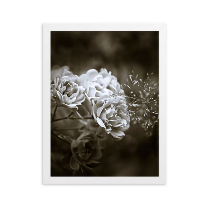 Poster - Weiße Pfingstrosen Weiß / 30×40 cm artlia