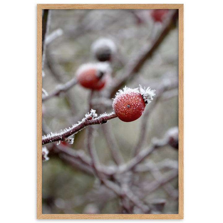 Poster - Winterbeeren II Oak / 61×91 cm artlia
