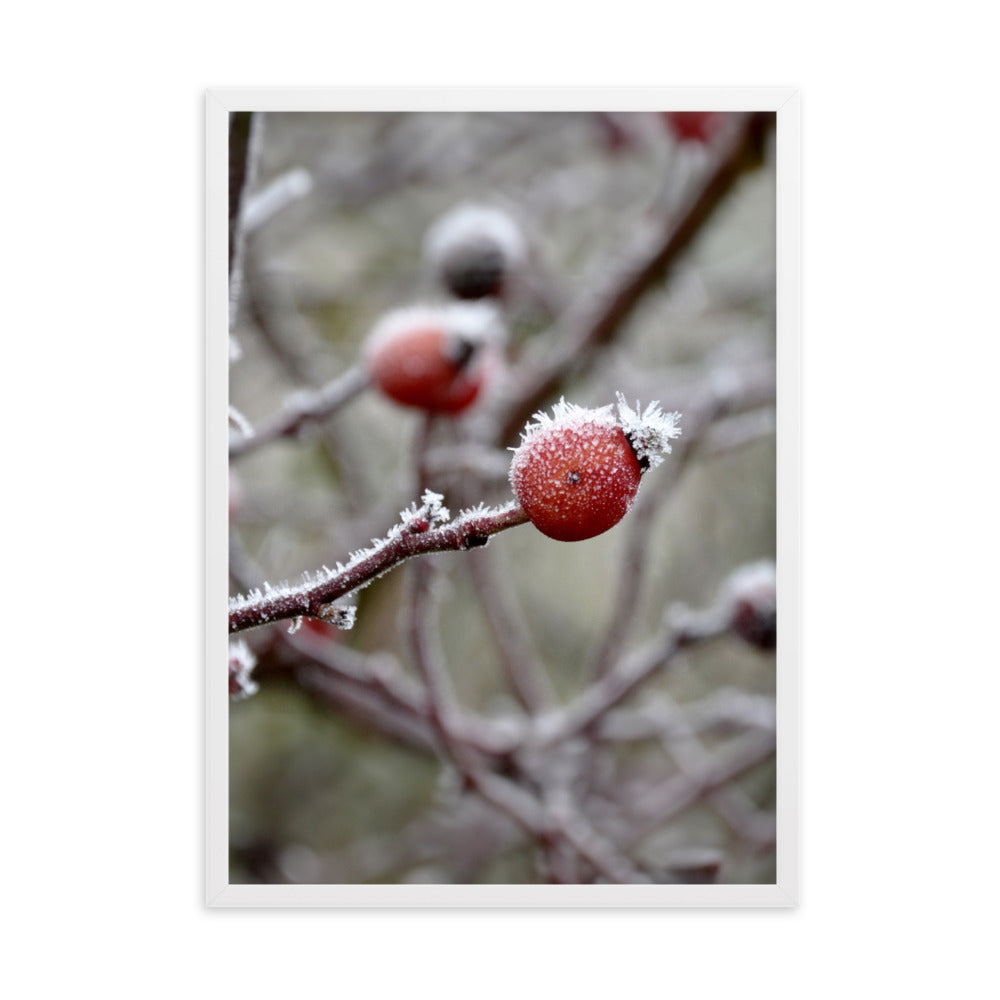 Poster - Winterbeeren II Weiß / 50×70 cm artlia