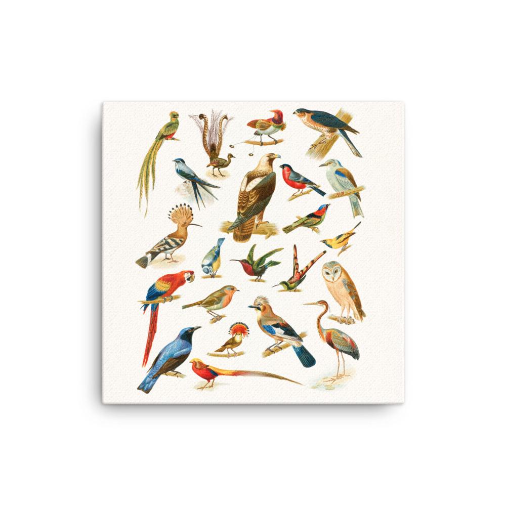 22 Vogelarten - Leinwand 30x30 cm artlia