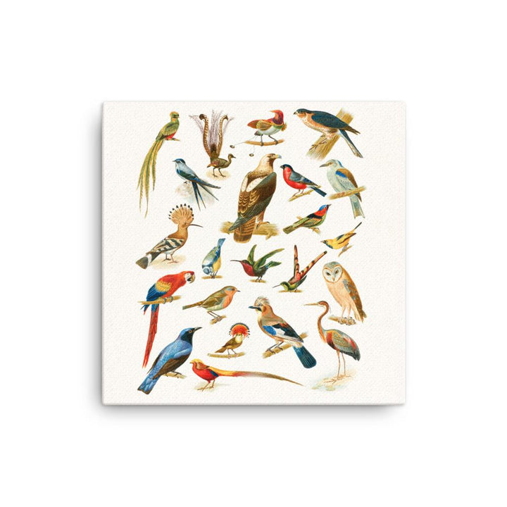 22 Vogelarten - Leinwand 30x30 cm artlia