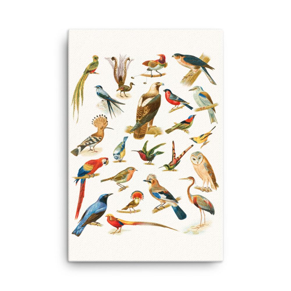 22 Vogelarten - Leinwand 61x91 cm artlia