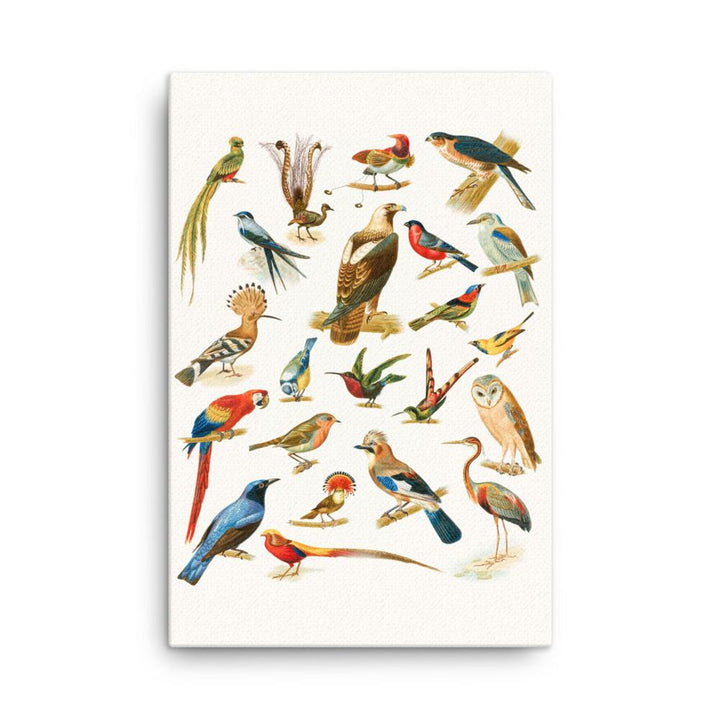 22 Vogelarten - Leinwand 61x91 cm artlia