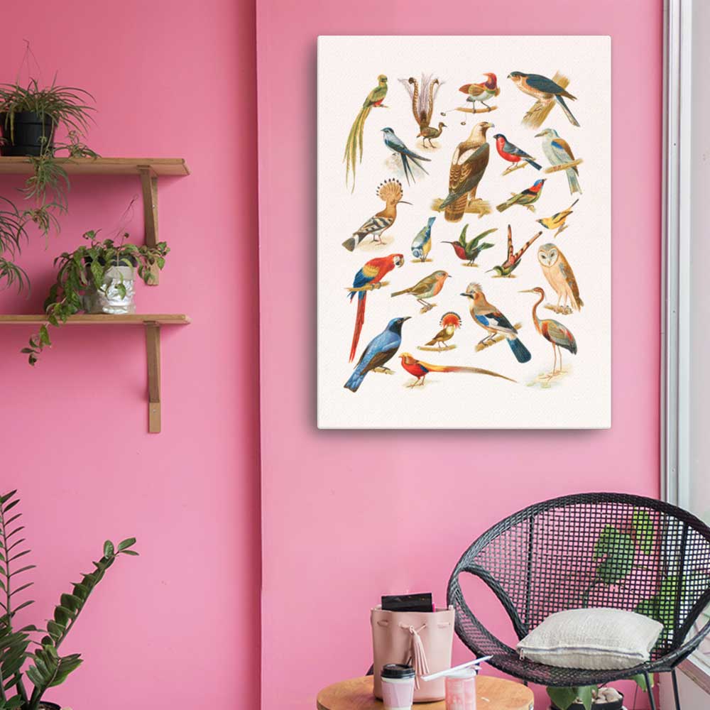 22 Vogelarten - Leinwand artlia