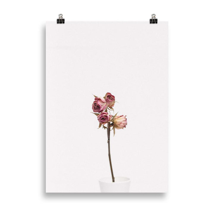 Poster - Trockenrosen 21×30 cm artlia