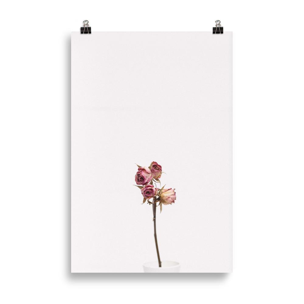 Poster - Trockenrosen 61×91 cm artlia