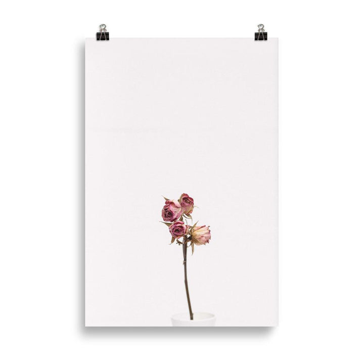 Poster - Trockenrosen 61×91 cm artlia