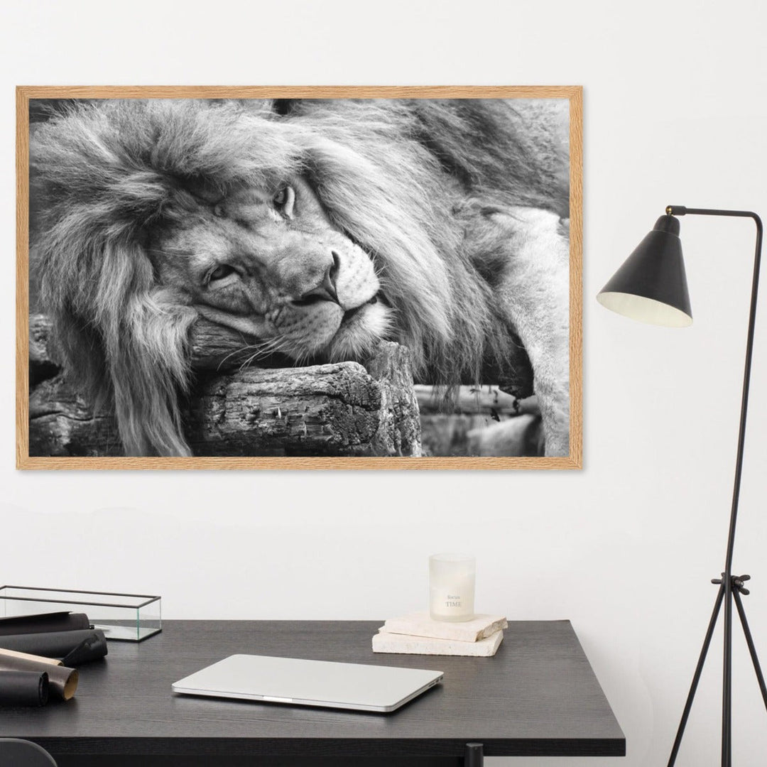 Entspannter Löwe - Poster artlia