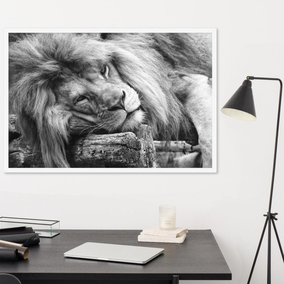 Entspannter Löwe - Poster artlia