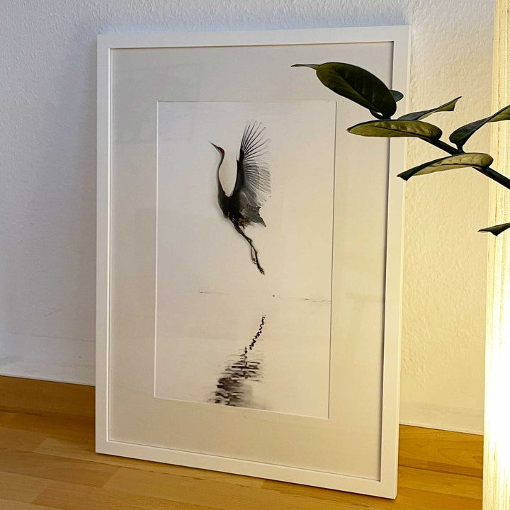 fliegender Kranich - Poster artlia