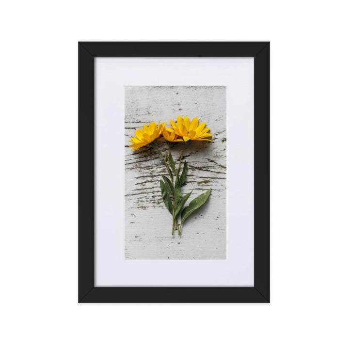 gelbe Blumen Yellow Flowers 6 - Poster im Rahmen mit Passepartout Schwarz / 21×30 cm artlia