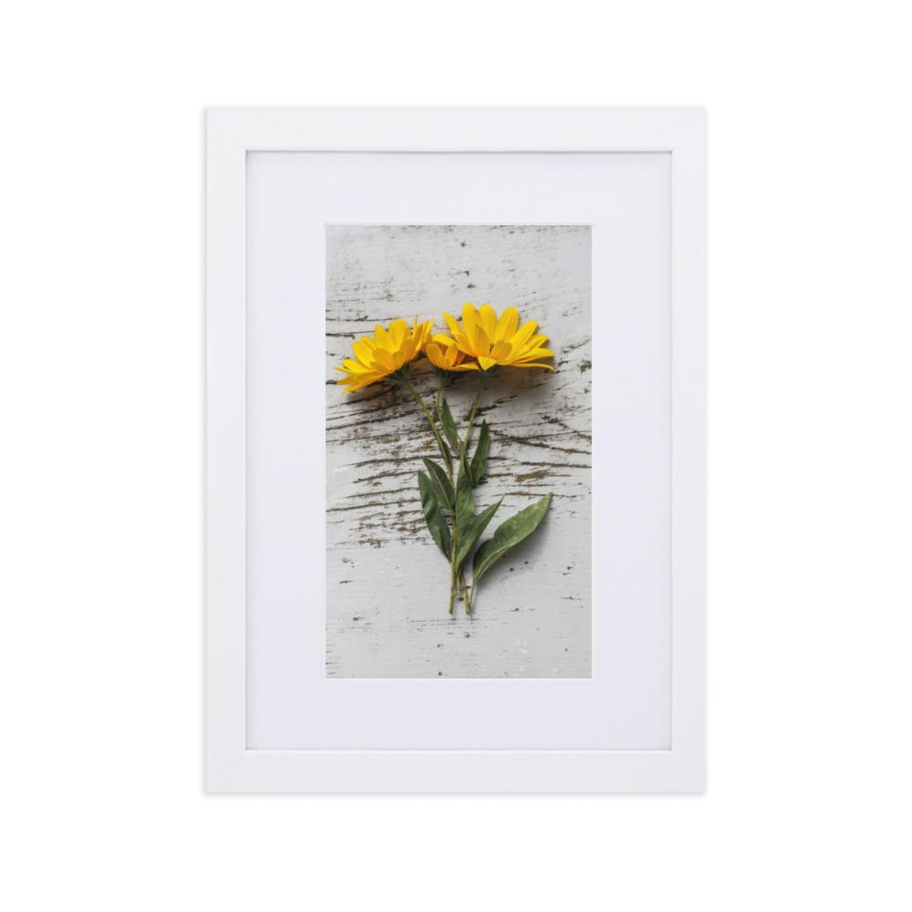 gelbe Blumen Yellow Flowers 6 - Poster im Rahmen mit Passepartout Weiß / 21×30 cm artlia