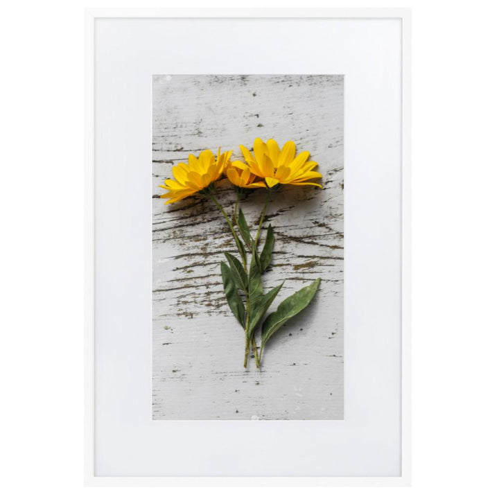 gelbe Blumen Yellow Flowers 6 - Poster im Rahmen mit Passepartout Weiß / 61×91 cm artlia