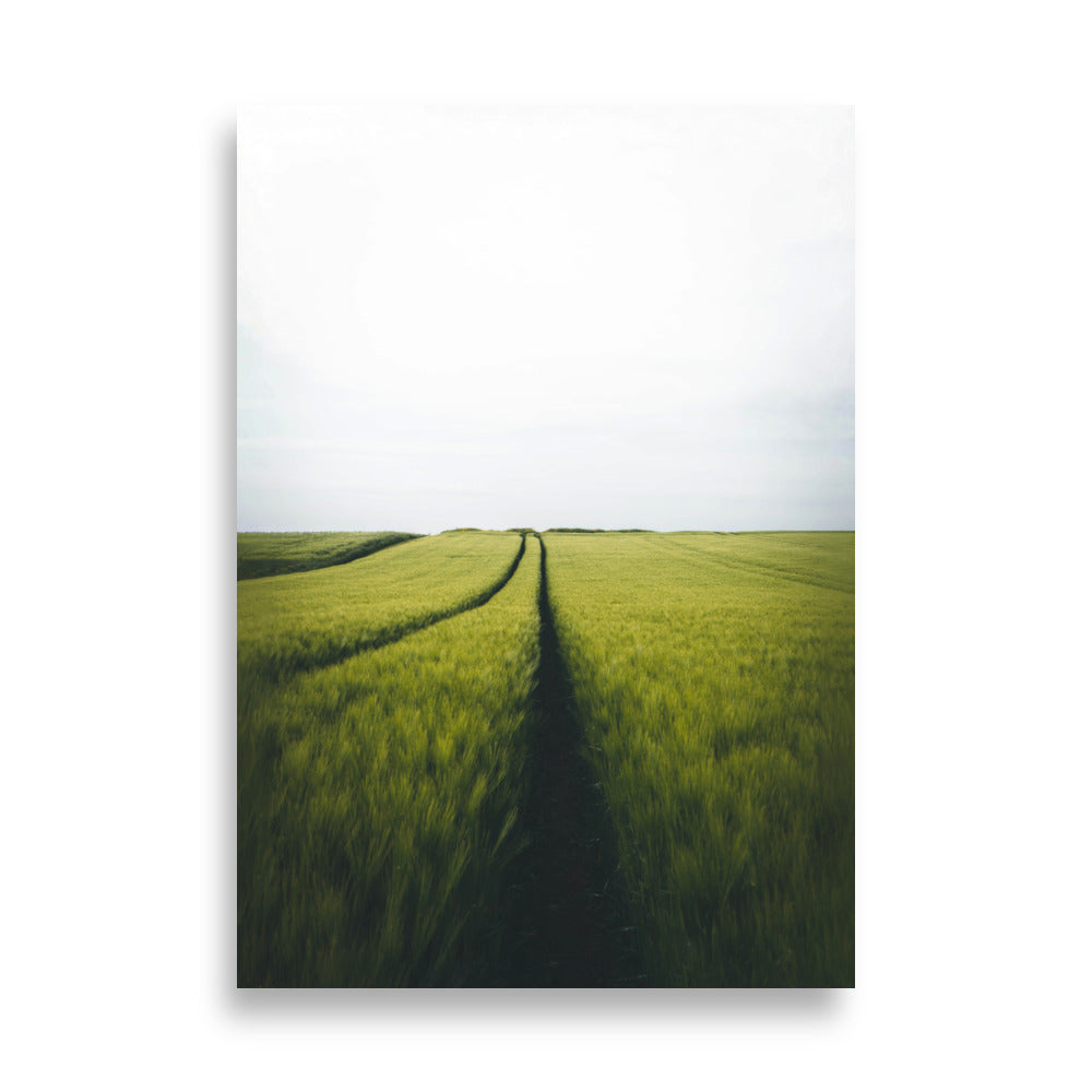 Gerstenfeld barley field - Poster 21×30 cm artlia