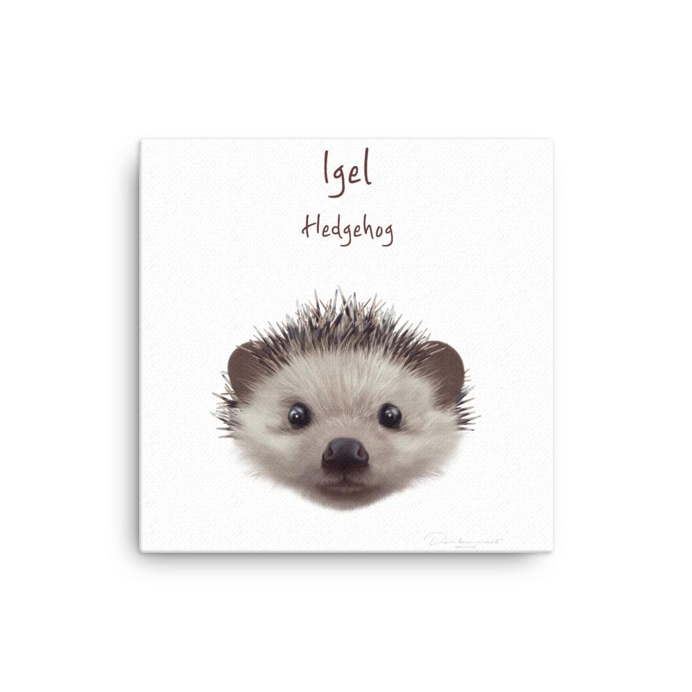 Igel - Leinwand 30x30 cm artlia