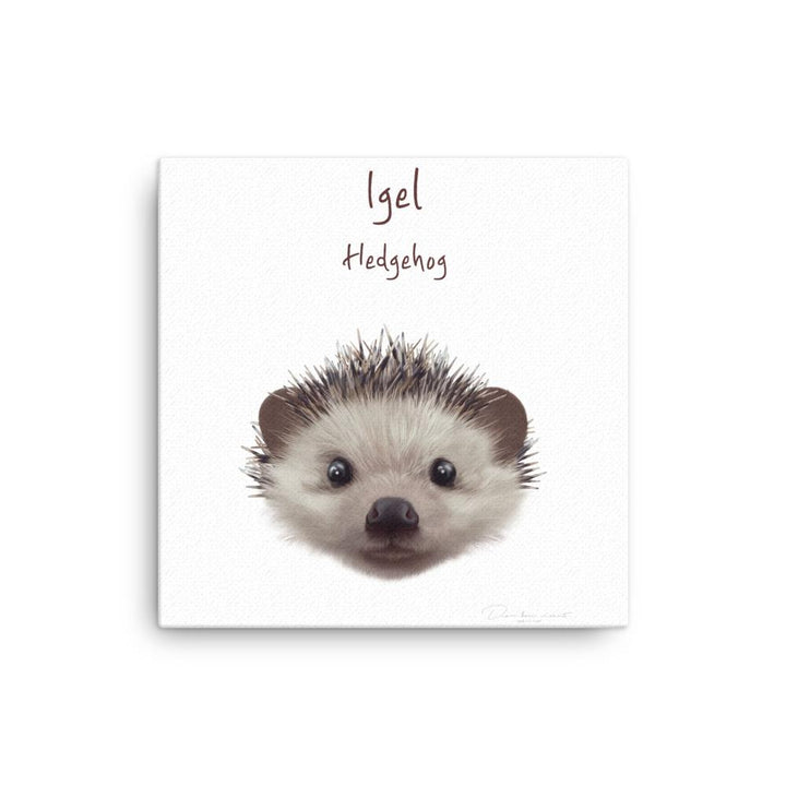 Igel - Leinwand 30x30 cm artlia