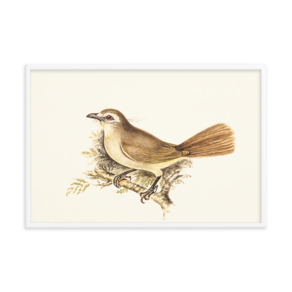 Lerche - Poster im Rahmen weiß / 61x91 cm artlia