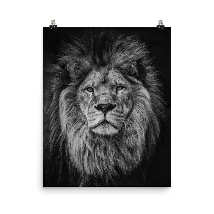 Löwe - Poster 20x25 cm artlia