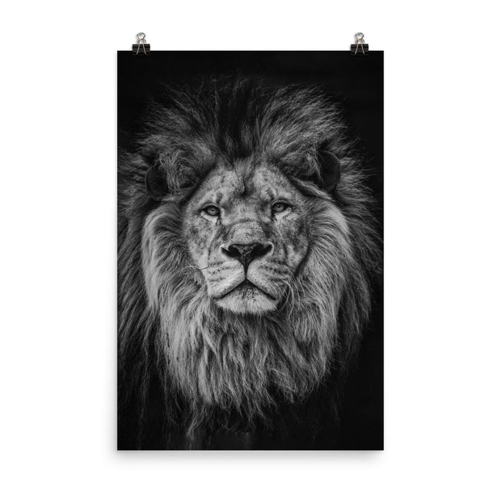 Löwe - Poster 30x45 cm artlia