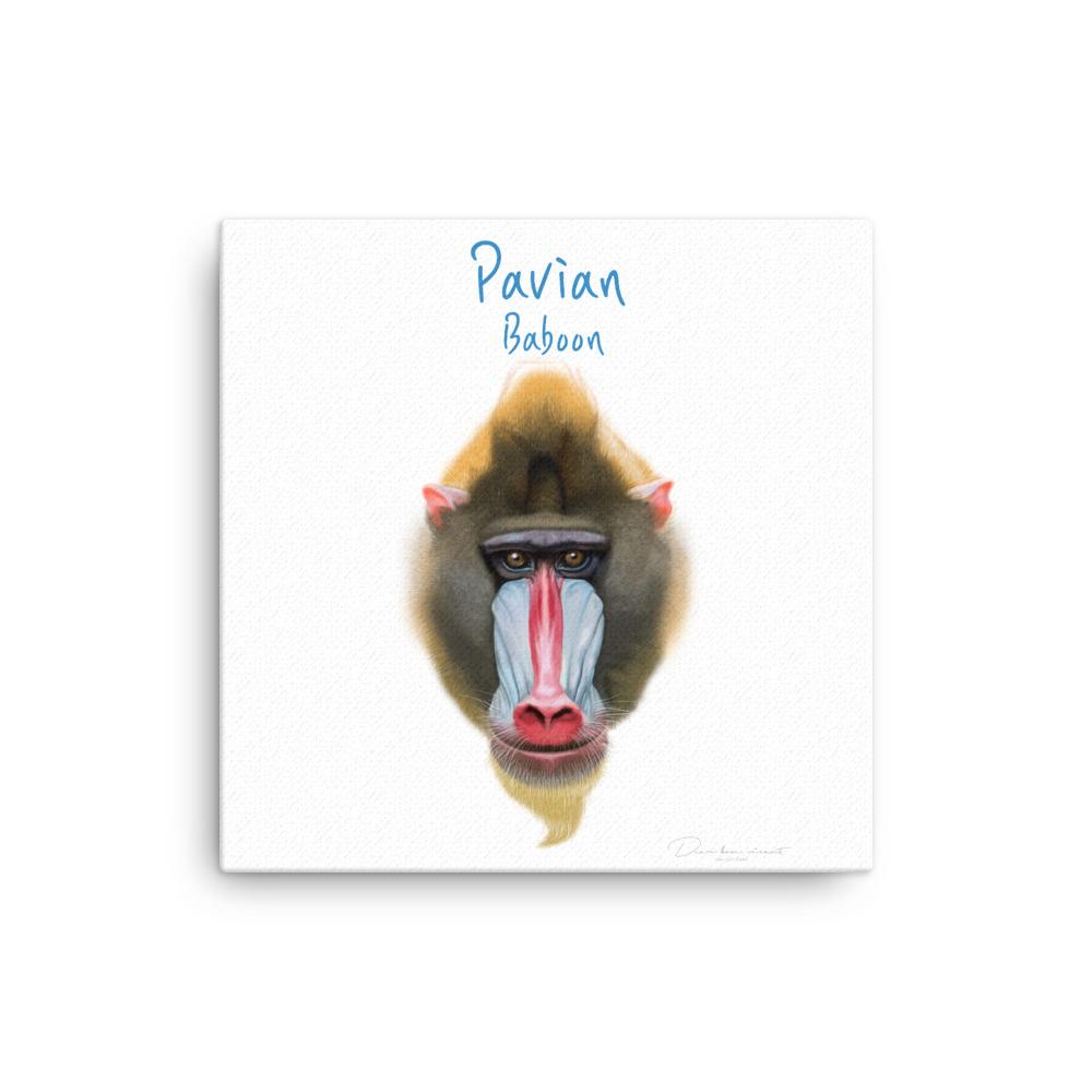 Pavian - Leinwand 30x30 cm artlia