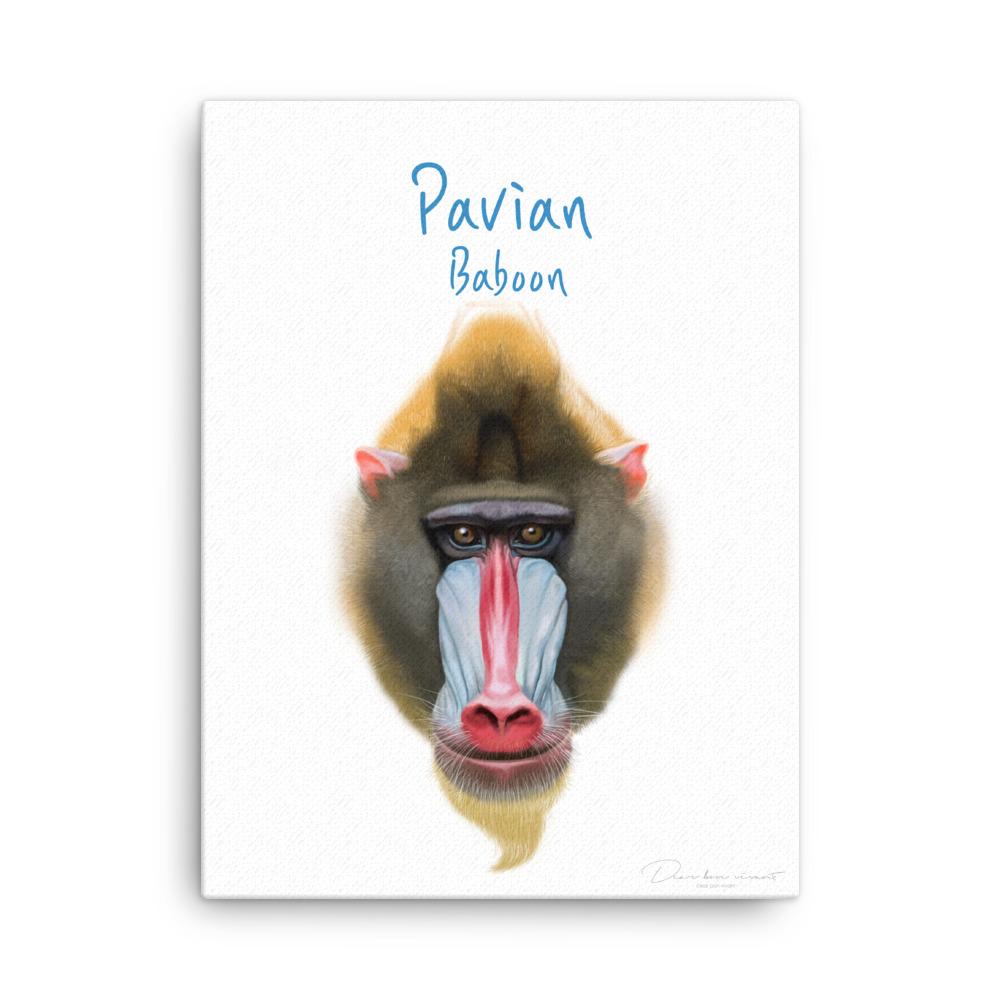 Pavian - Leinwand 30x41 cm artlia