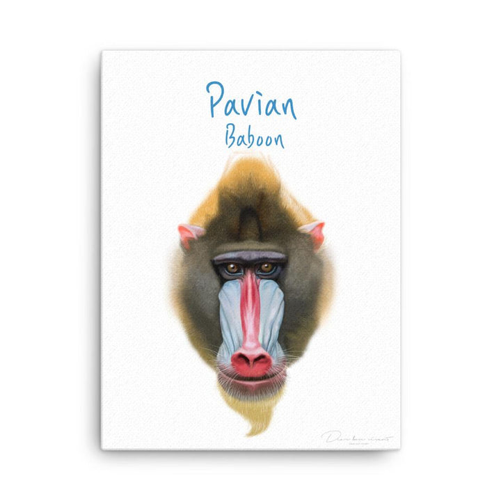 Pavian - Leinwand 30x41 cm artlia