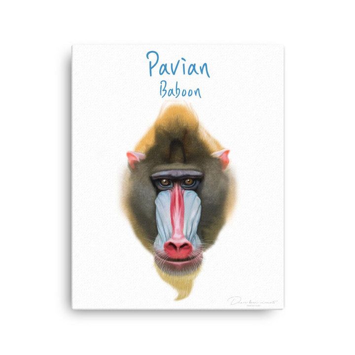 Pavian - Leinwand 41x51 cm artlia