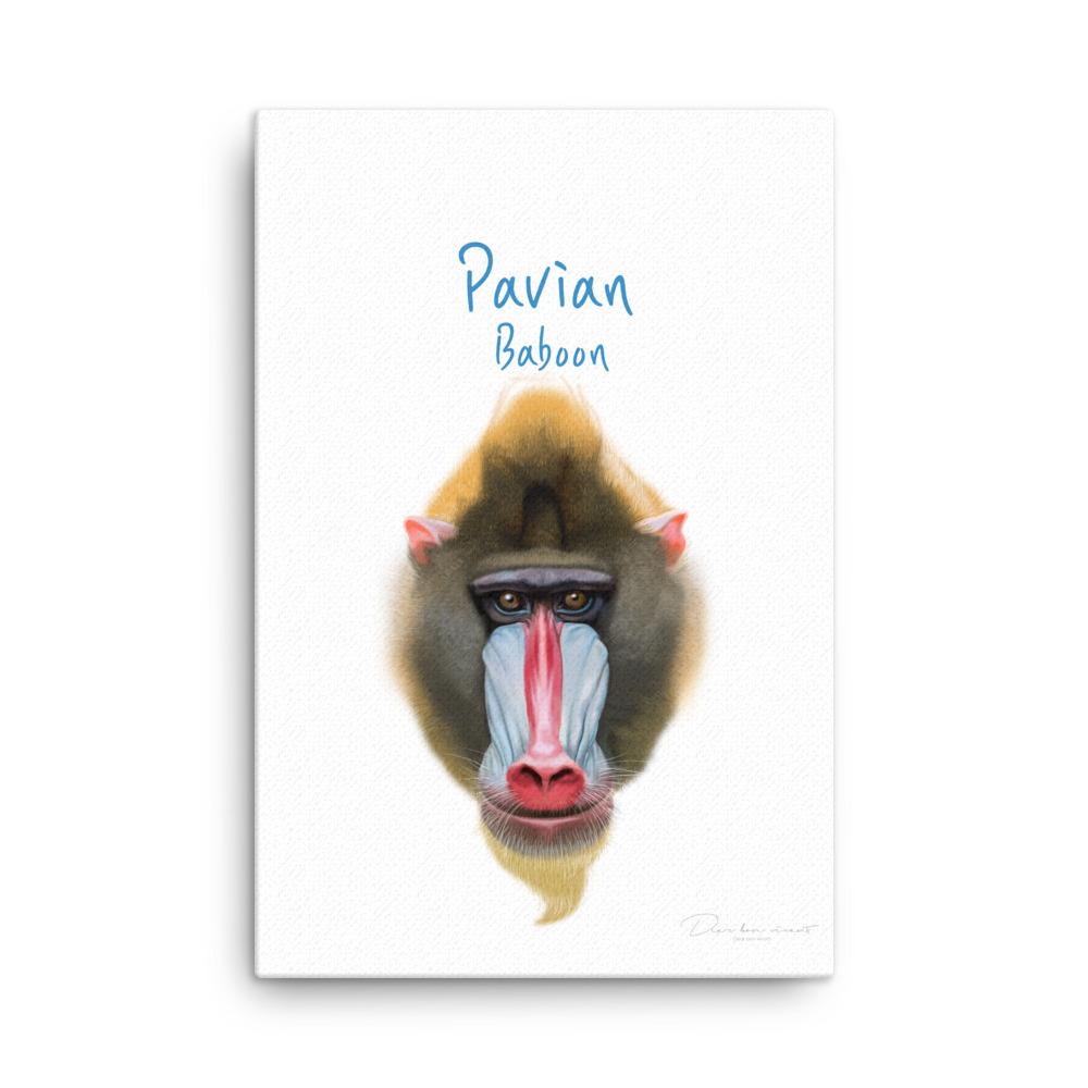 Pavian - Leinwand 61x91 cm artlia