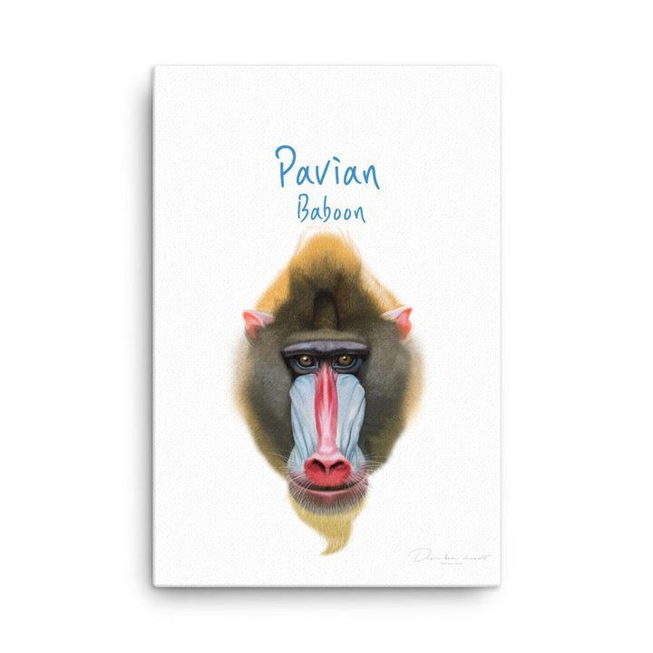 Pavian - Leinwand 61x91 cm artlia