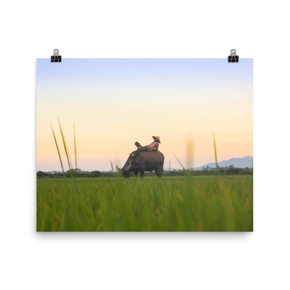 Peaceful Evening - Poster 20x25 cm artlia