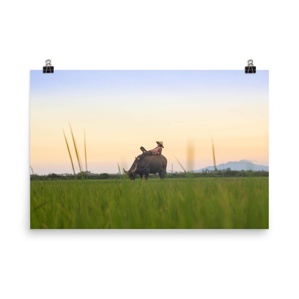 Peaceful Evening - Poster 30x45 cm artlia