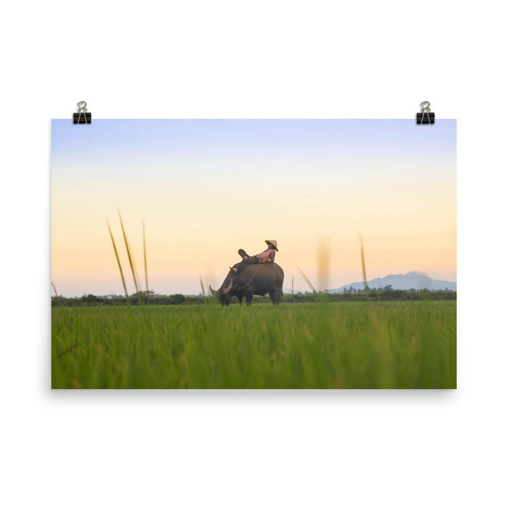Peaceful Evening - Poster 30x45 cm artlia