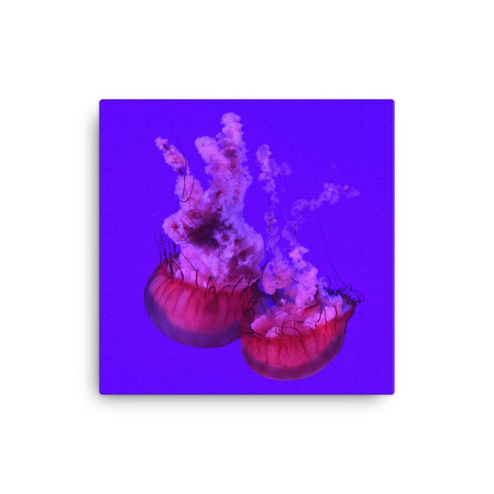 Pinke Qualle -  Leinwand 30x30 cm artlia