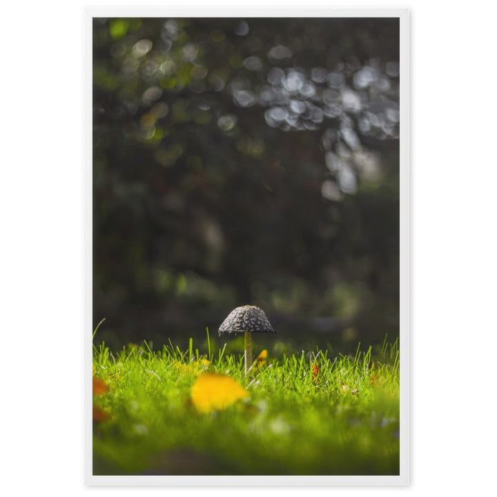 Poster - Pilz artlia
