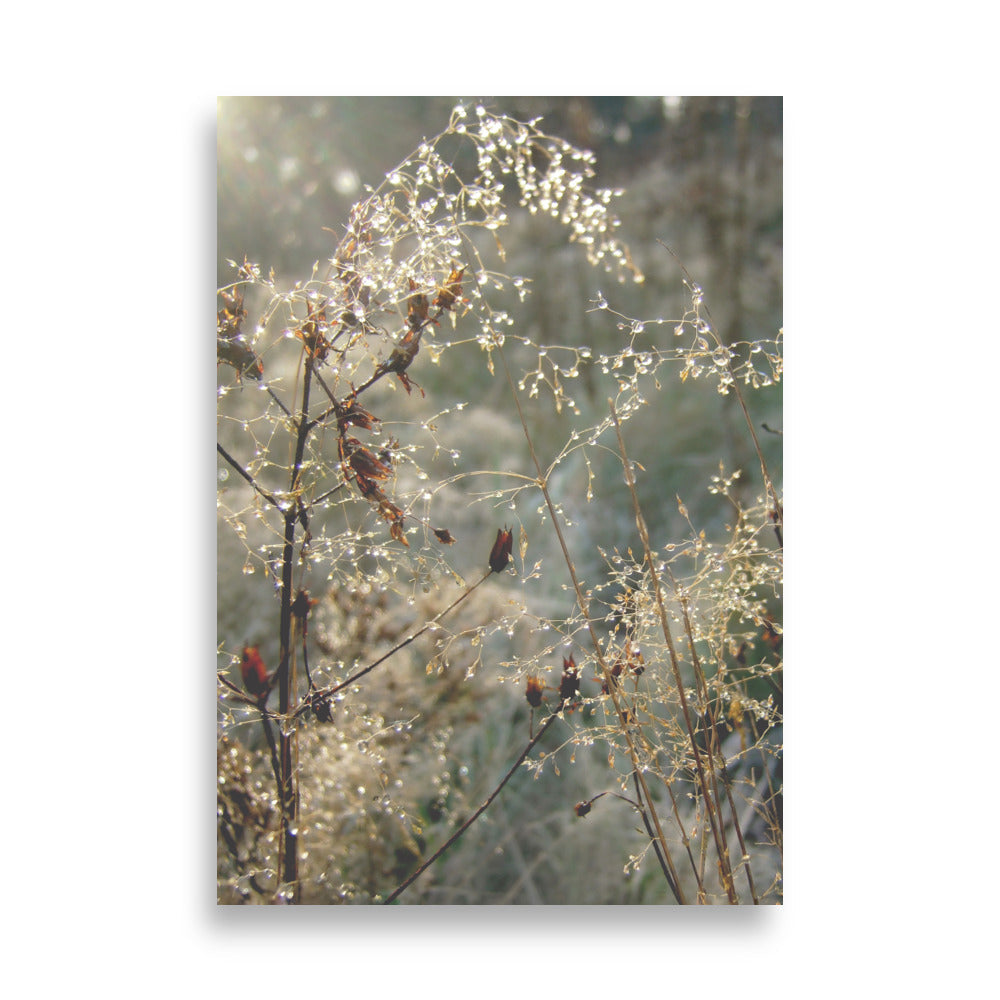 Poster - Winter Dews 21×30 cm artlia